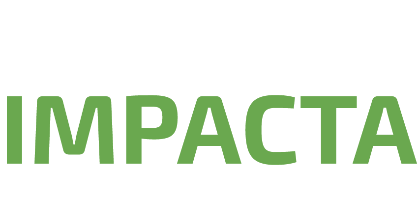 Chile Impacta - Puerto Varas